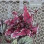 product-274891-1789482264-TRI05-0000064^3
